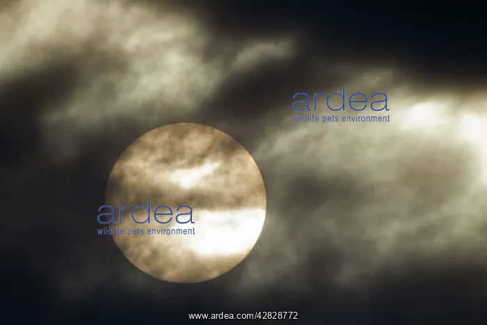  : Sun and Clouds