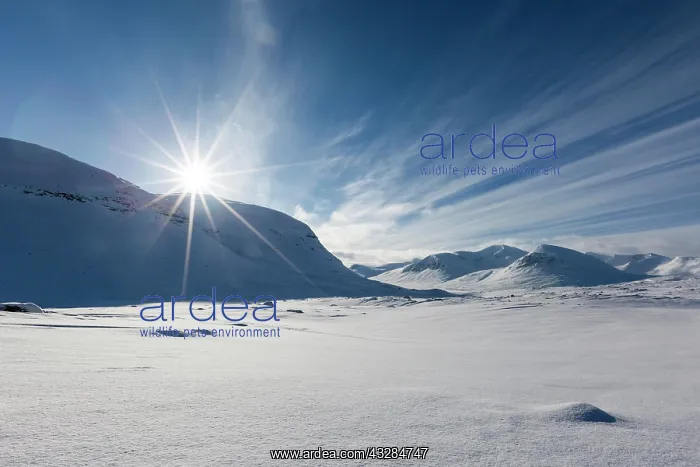 : Sun over mountain range in the snow, Kungsleden : Sun over mountain range in the snow, Kungsleden