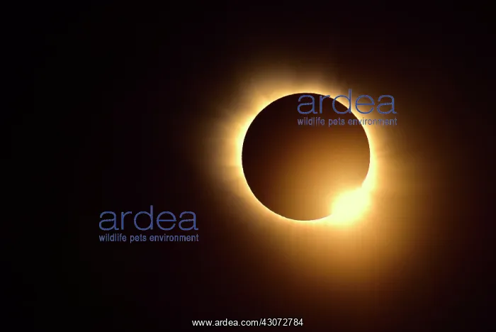 : The sun reappears 2 minutes after blackout : The sun reappears 2 minutes after blackout