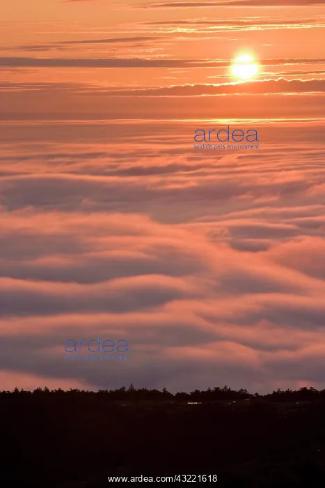 : The sun rises above the fog as seen from : The sun rises above the fog as seen from