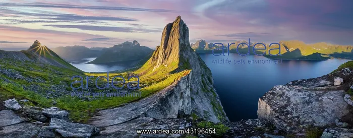 : Sun rising over Bergen, morning atmosphere, steep : Sun rising over Bergen, morning atmosphere, steep