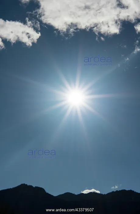 : Sun shines brightly in a star shape in the bright : Sun shines brightly in a star shape in the bright