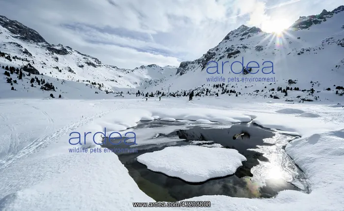 : Sun shines over snow-covered mountain peaks, gorge : Sun shines over snow-covered mountain peaks, gorge
