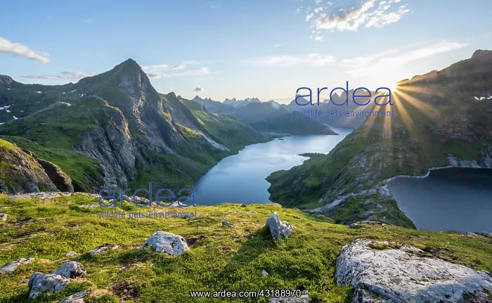 : Sun shining over mountain landscape with fjord Forsfjorden : Sun shining over mountain landscape with fjord Forsfjorden