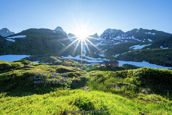 : Sun shining on mountains with snow, mountain range : Sun shining on mountains with snow, mountain range