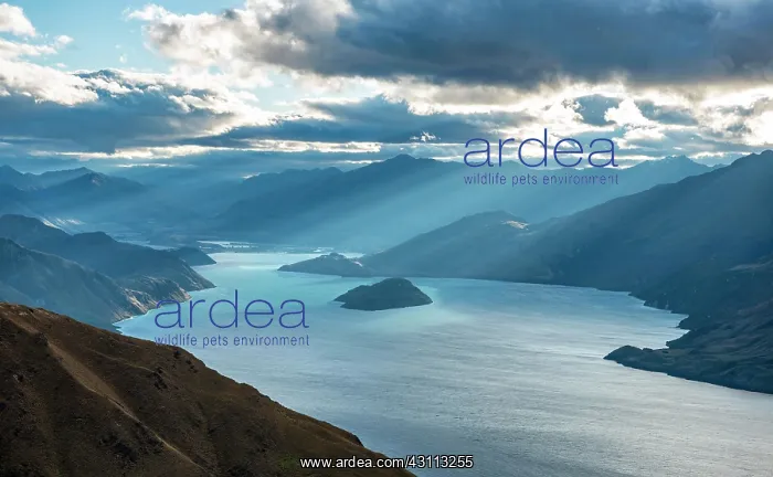 : Sunbeams shining through cloudy sky, view of Lake : Sunbeams shining through cloudy sky, view of Lake