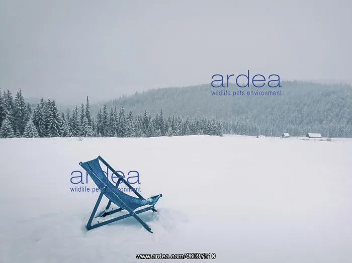 : Sunbed type chair on the top of a mountain in a : Sunbed type chair on the top of a mountain in a