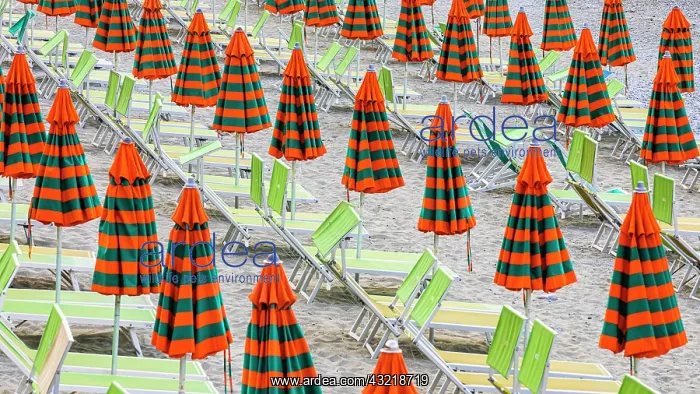  : Sunbeds and umbrellas at the beach di Fegina in