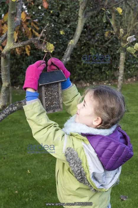 : Sunflower seeds for bird feed preparation in a garden : Sunflower seeds for bird feed preparation in a garden