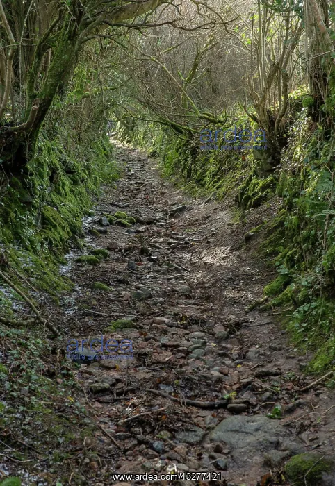 : Sunken lane and public footpath at Ponsworthy, in : Sunken lane and public footpath at Ponsworthy, in