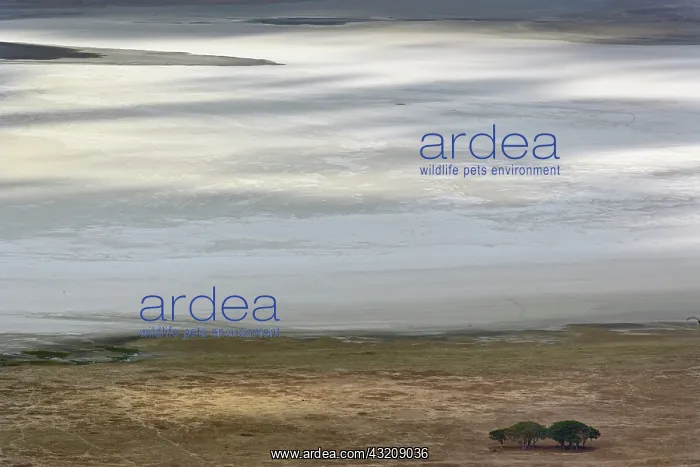 : Sunlight patterns on salt pans, Ngorongoro : Sunlight patterns on salt pans, Ngorongoro
