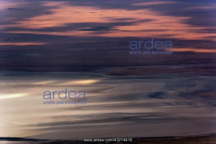 : Sunlight patterns on salt pans, Ngorongoro : Sunlight patterns on salt pans, Ngorongoro