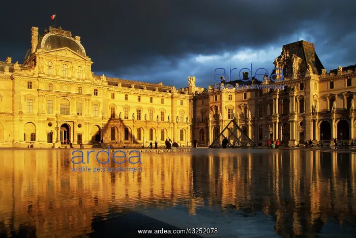 : Sunlight and reflections at Musse du Louvre : Sunlight and reflections at Musse du Louvre