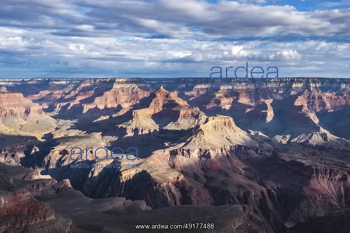 : Sunlight and shade in the Grand Canyon : Sunlight and shade in the Grand Canyon