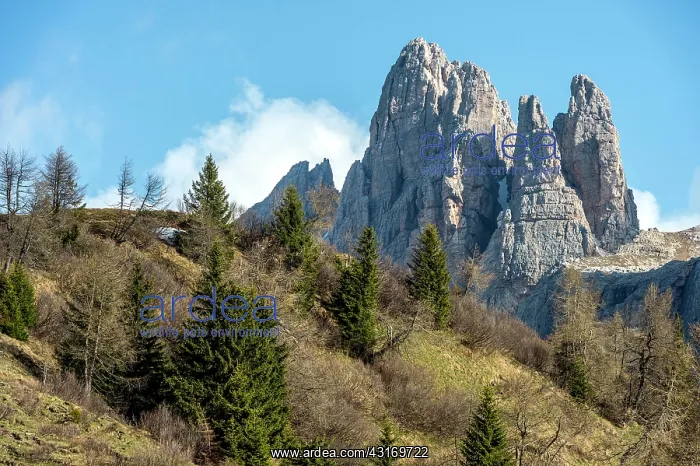 : Sunny day on Becco di MEzzod viewed from the valley : Sunny day on Becco di MEzzod viewed from the valley