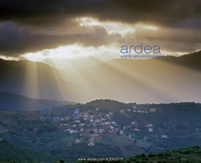  : Sunrays Calenzana, Corsica, France