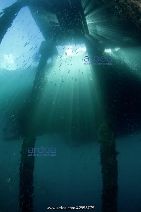 : Sunrays under the Air Manis Jetty : Sunrays under the Air Manis Jetty