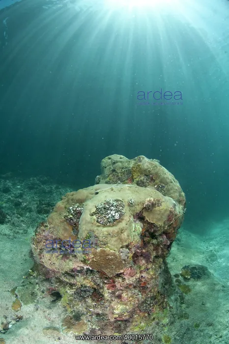  : Sunrays over rock