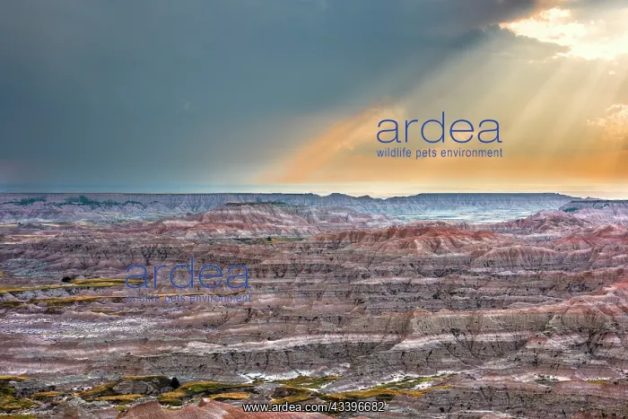 : Sunrays over striated, dramatic, badland hills : Sunrays over striated, dramatic, badland hills