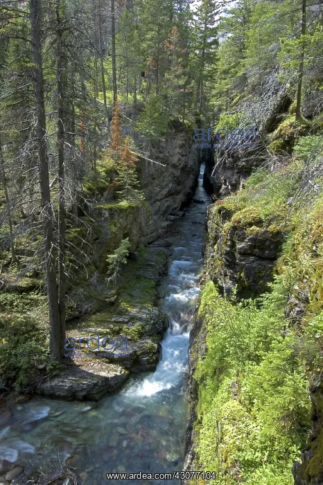 : Sunrift Gorge : Sunrift Gorge