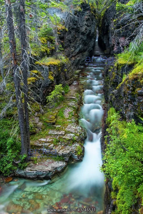 : Sunrift Gorge in Glacier National Park : Sunrift Gorge in Glacier National Park