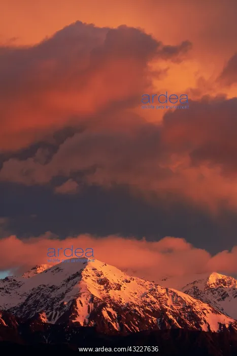 : Sunrise and alpenglow on Seaward Kaikoura : Sunrise and alpenglow on Seaward Kaikoura