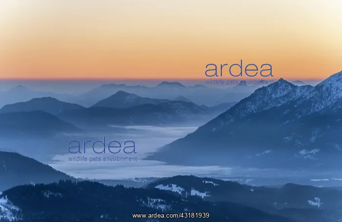 : Sunrise, alpine foreland with mountains, Wetterstein : Sunrise, alpine foreland with mountains, Wetterstein