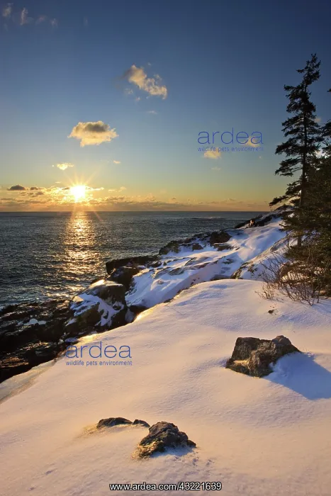 : Sunrise over the Atlantic Ocean in winter : Sunrise over the Atlantic Ocean in winter