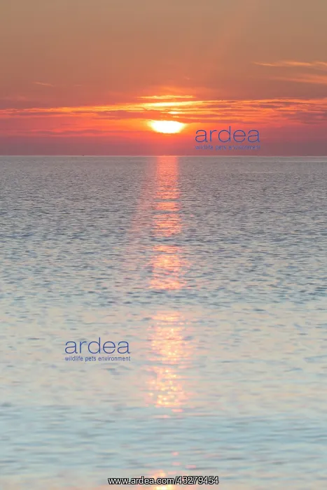 : Sunrise at the Baltic Sea - Germany : Sunrise at the Baltic Sea - Germany