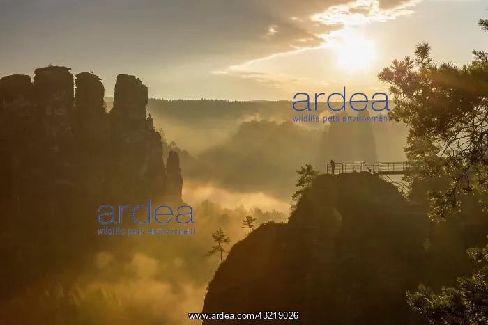 : Sunrise on the Bastebr&, x23ae5b20;rock formations : Sunrise on the Bastebr&, x23ae5b20;rock formations