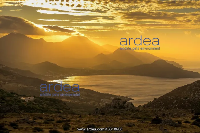 : Sunrise, Bay of Plakias, South Coast, Crete, Greece : Sunrise, Bay of Plakias, South Coast, Crete, Greece