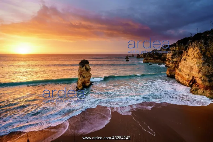 : Sunrise on the beach Praia da Dona Ana, Lagos, Algarve : Sunrise on the beach Praia da Dona Ana, Lagos, Algarve