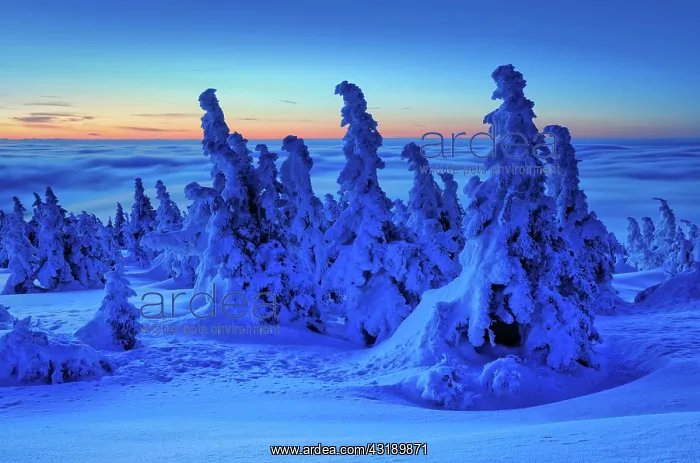 : Before sunrise on the Brocken in winter, dawn, above : Before sunrise on the Brocken in winter, dawn, above