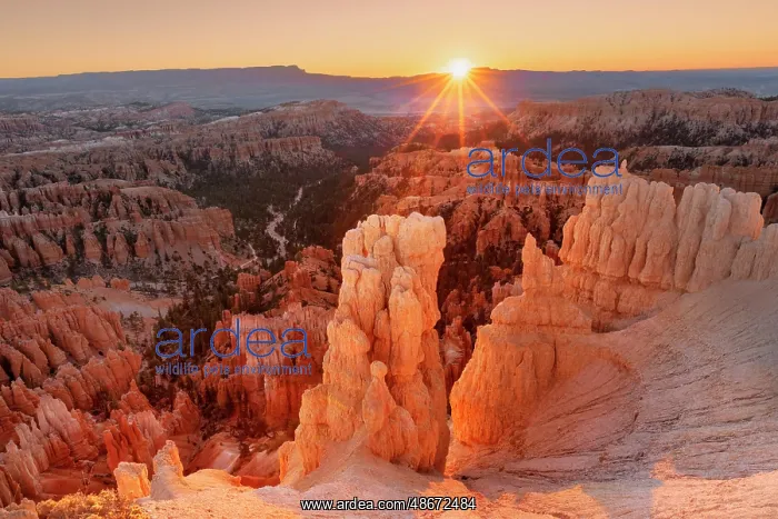 : Sunrise at Bryce Canyon National Park, Utah : Sunrise at Bryce Canyon National Park, Utah