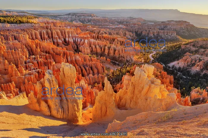 : Sunrise at Bryce Canyon National Park, Utah : Sunrise at Bryce Canyon National Park, Utah