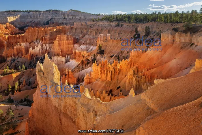 : Sunrise at Bryce Canyon National Park, Utah : Sunrise at Bryce Canyon National Park, Utah