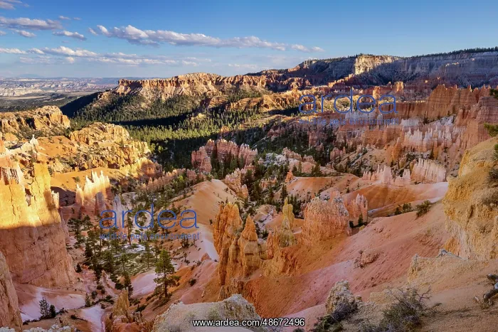 : Sunrise at Bryce Canyon National Park, Utah : Sunrise at Bryce Canyon National Park, Utah