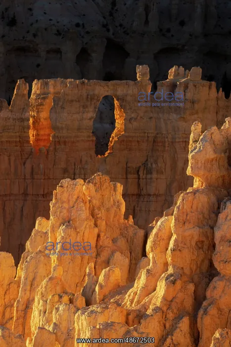 : Sunrise at Bryce Canyon National Park, Utah : Sunrise at Bryce Canyon National Park, Utah
