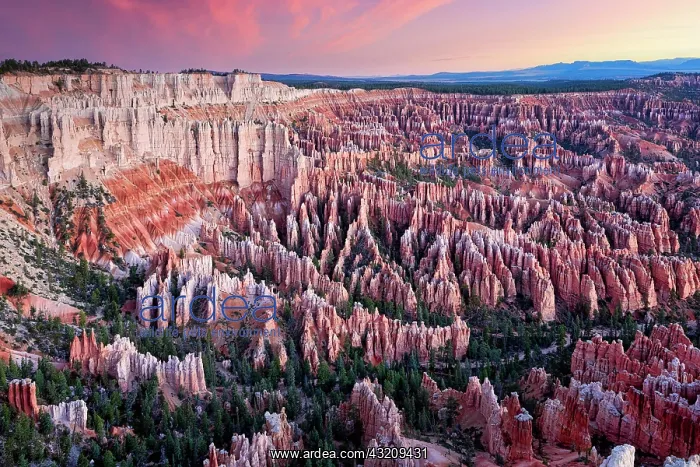 : Sunrise at Bryce Point lookout in the Bryce Canyon : Sunrise at Bryce Point lookout in the Bryce Canyon