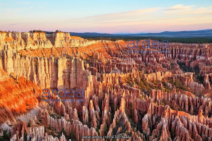 : Sunrise at Bryce Point lookout in the Bryce Canyon : Sunrise at Bryce Point lookout in the Bryce Canyon