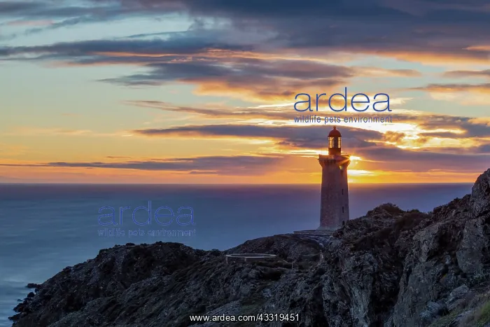 : Sunrise on the Bsar lighthouse, Pyrsnses-Orienta : Sunrise on the Bsar lighthouse, Pyrsnses-Orienta
