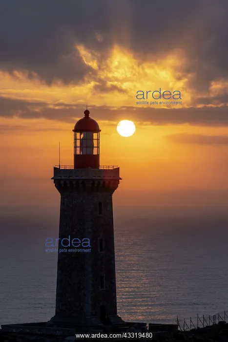 : Sunrise on the Bsar lighthouse, Pyrsnses-Orienta : Sunrise on the Bsar lighthouse, Pyrsnses-Orienta