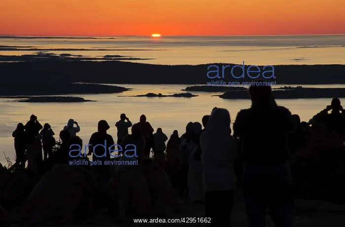 : Sunrise at Cadillac Mt - with tourists : Sunrise at Cadillac Mt - with tourists