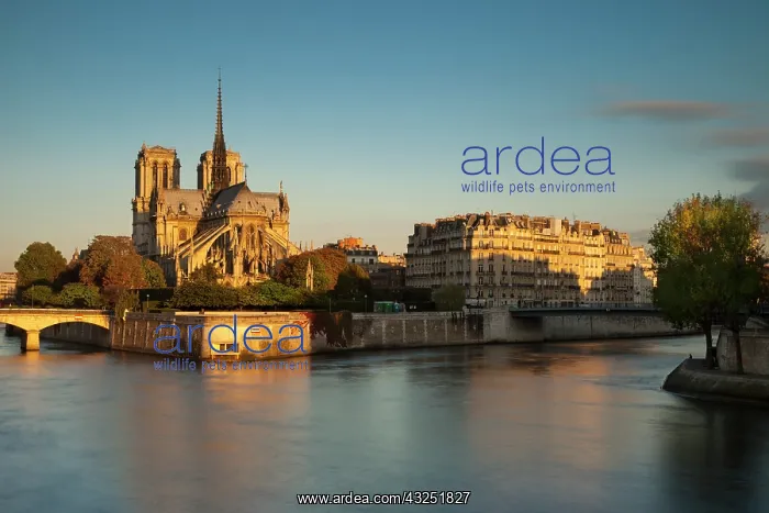  : Sunrise over Cathedral Notre Dame along