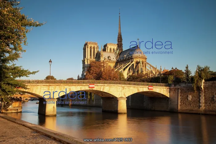 : Sunrise over Cathedral Notre Dame along : Sunrise over Cathedral Notre Dame along