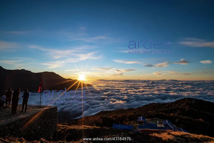  : Sunrise over cloud cover in the high camp of Machapuchare