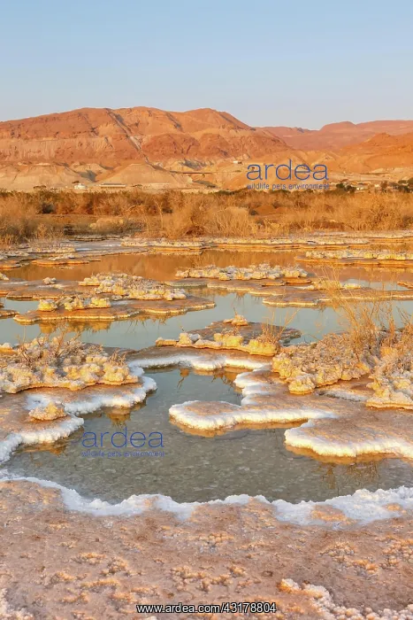  : Sunrise at dead sea salt morning landscape nature