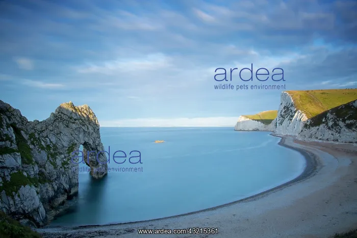 : Sunrise over Durdle door and the Jurassic Coast : Sunrise over Durdle door and the Jurassic Coast