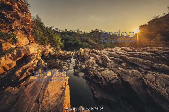 : Sunrise Edith Falls in northern Australia : Sunrise Edith Falls in northern Australia