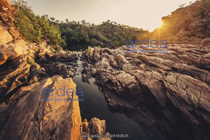 : Sunrise Edith Falls in northern Australia : Sunrise Edith Falls in northern Australia